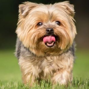 Meet your Posher, Patricia